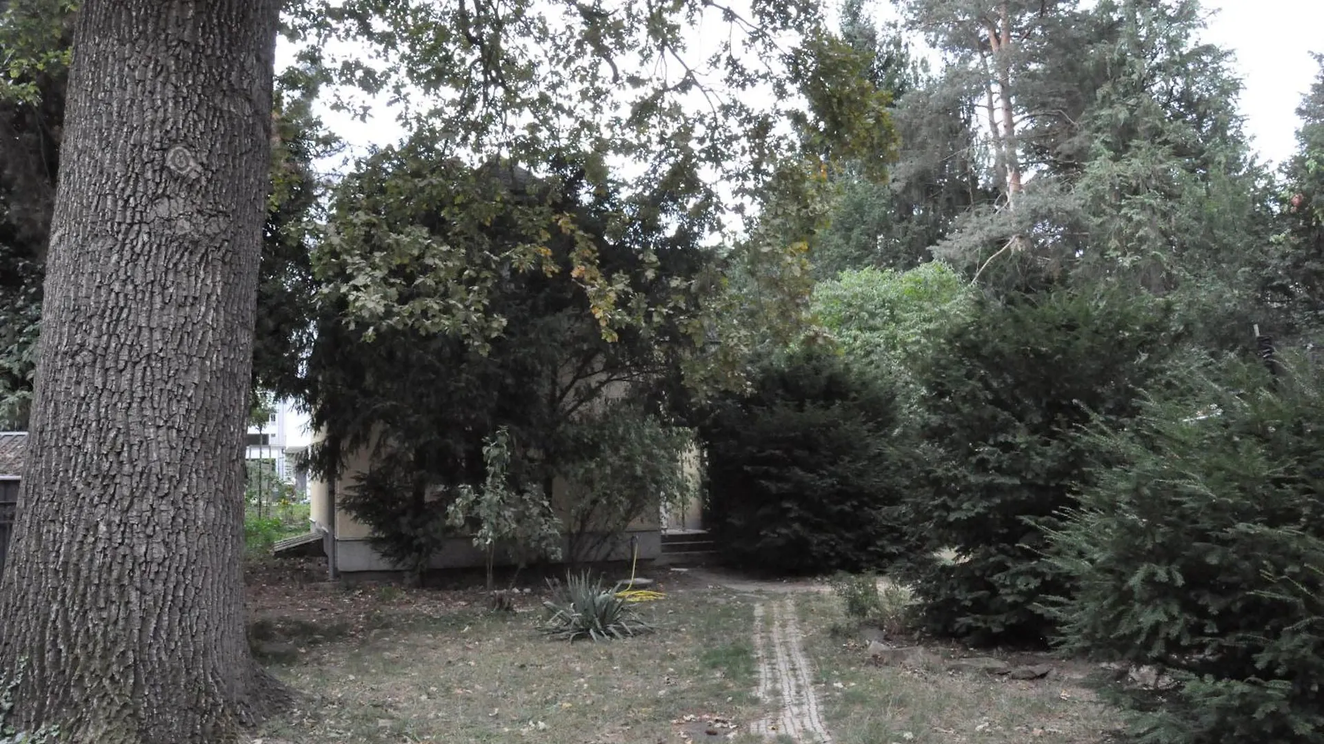Casa de Férias House Near To Schoenbrunn - Free Parking - 24-7 Check In - 8 Person Viena